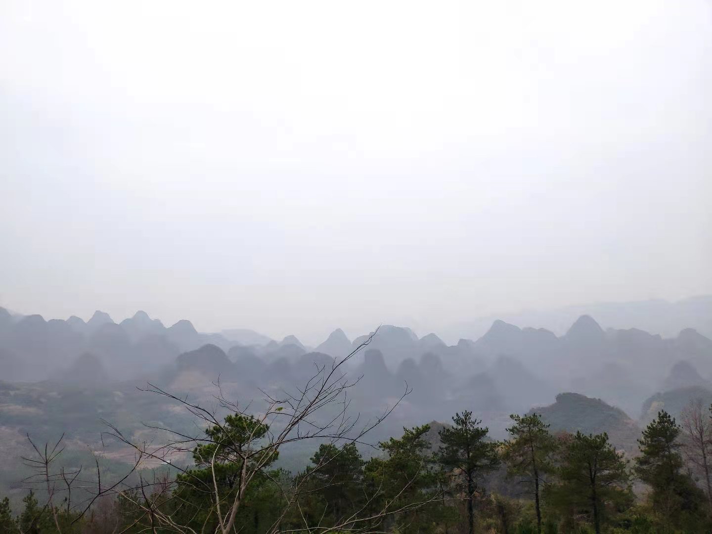 万山朝王