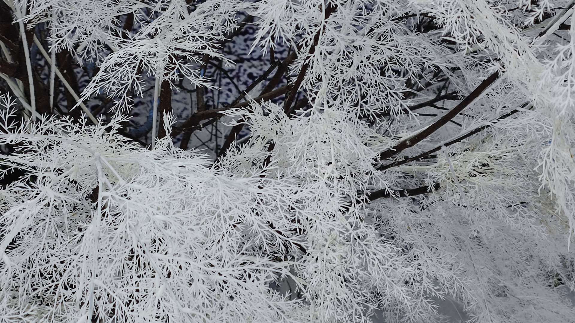 雪世界2