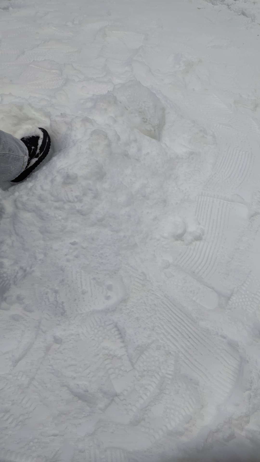 雪世界1