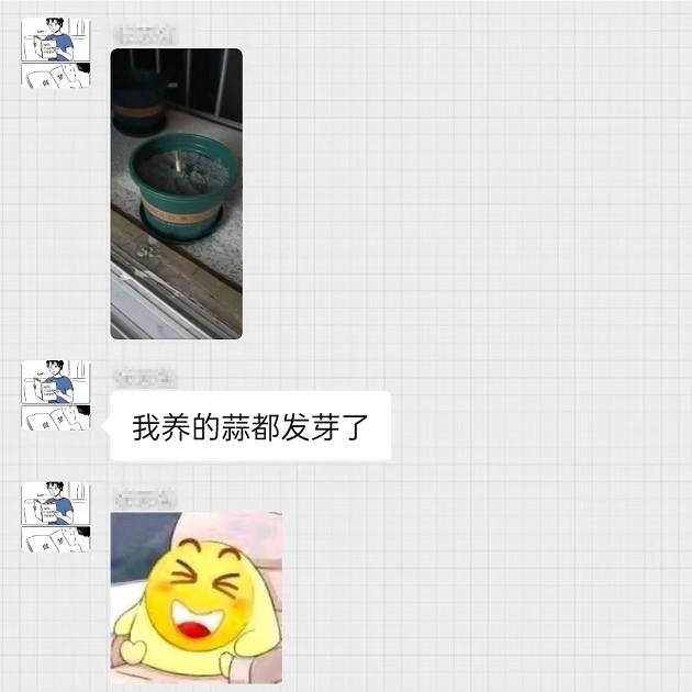 图像 084.png