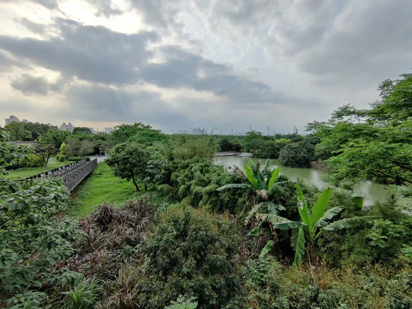 海珠湿地公园1.jpg