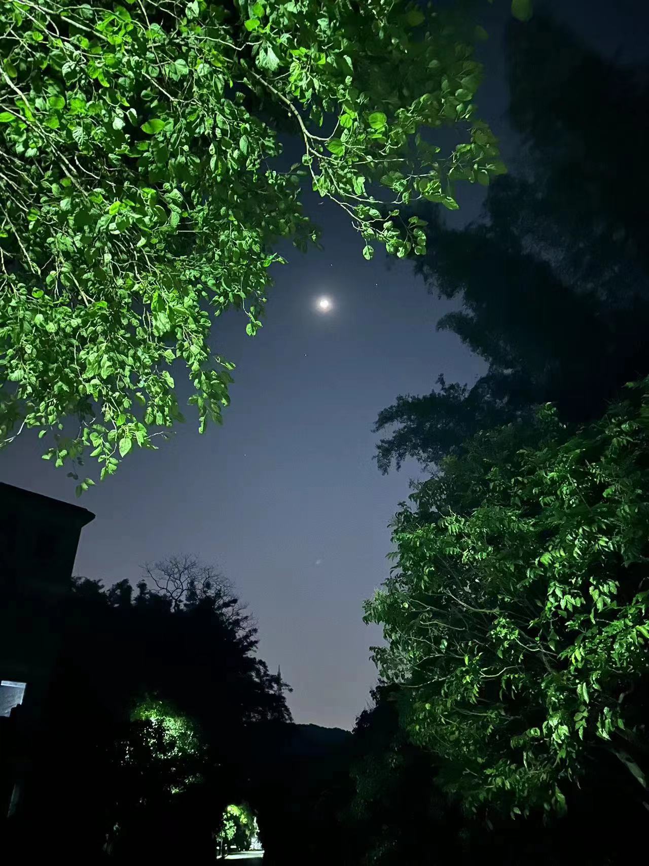 木牛线3.jpg