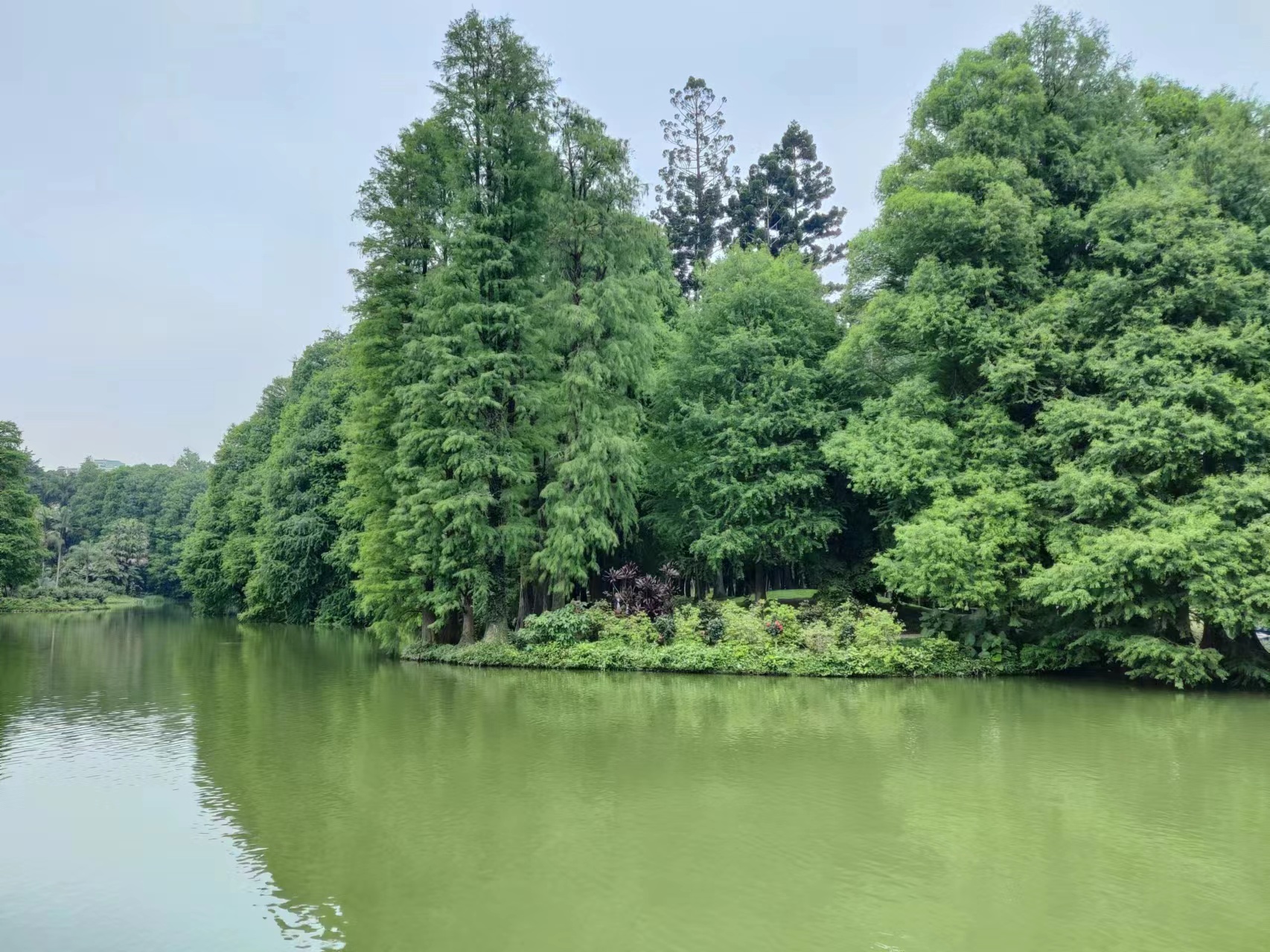华南植物园.jpg