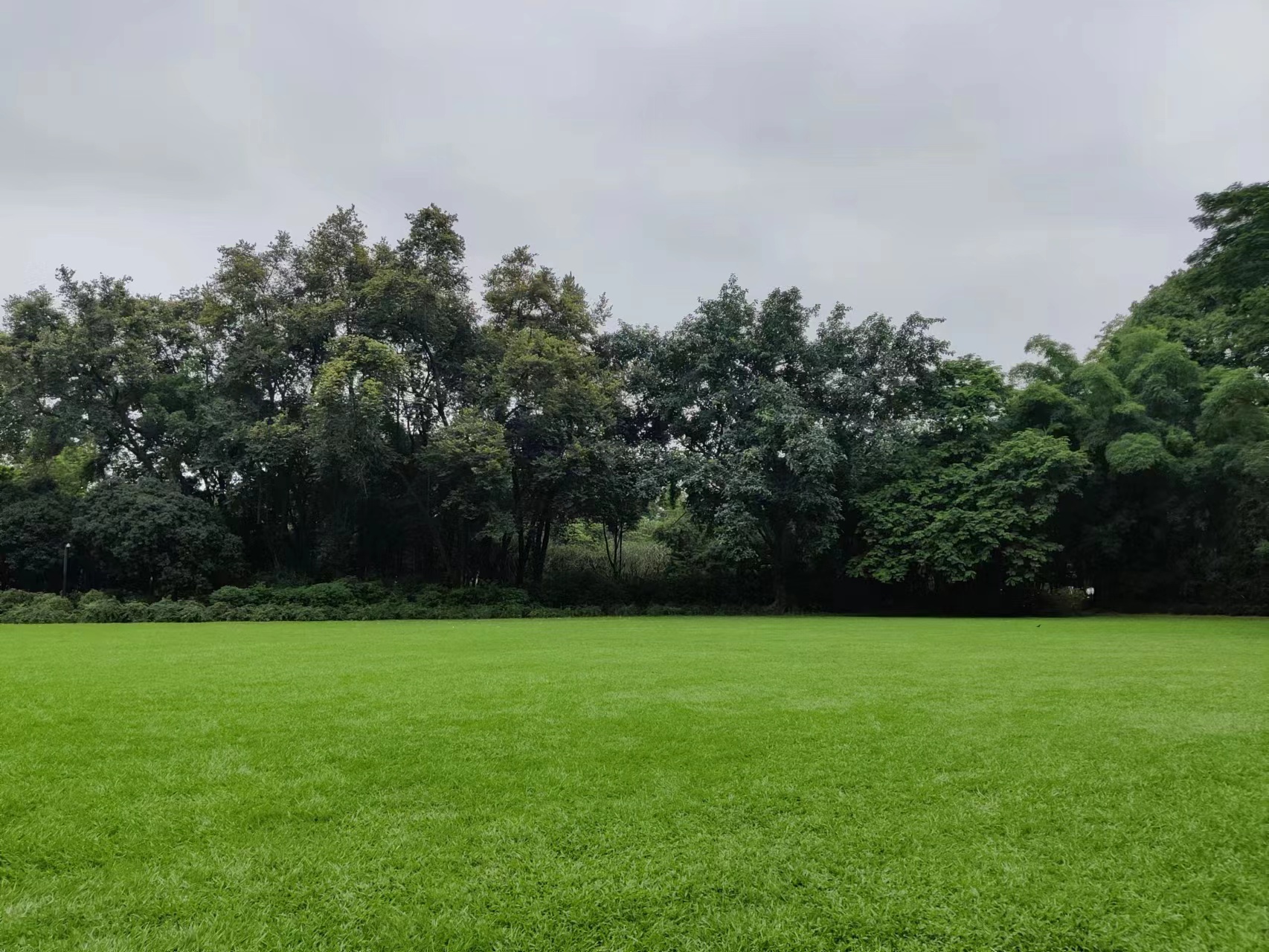 华南植物园-绿意盎然.jpg